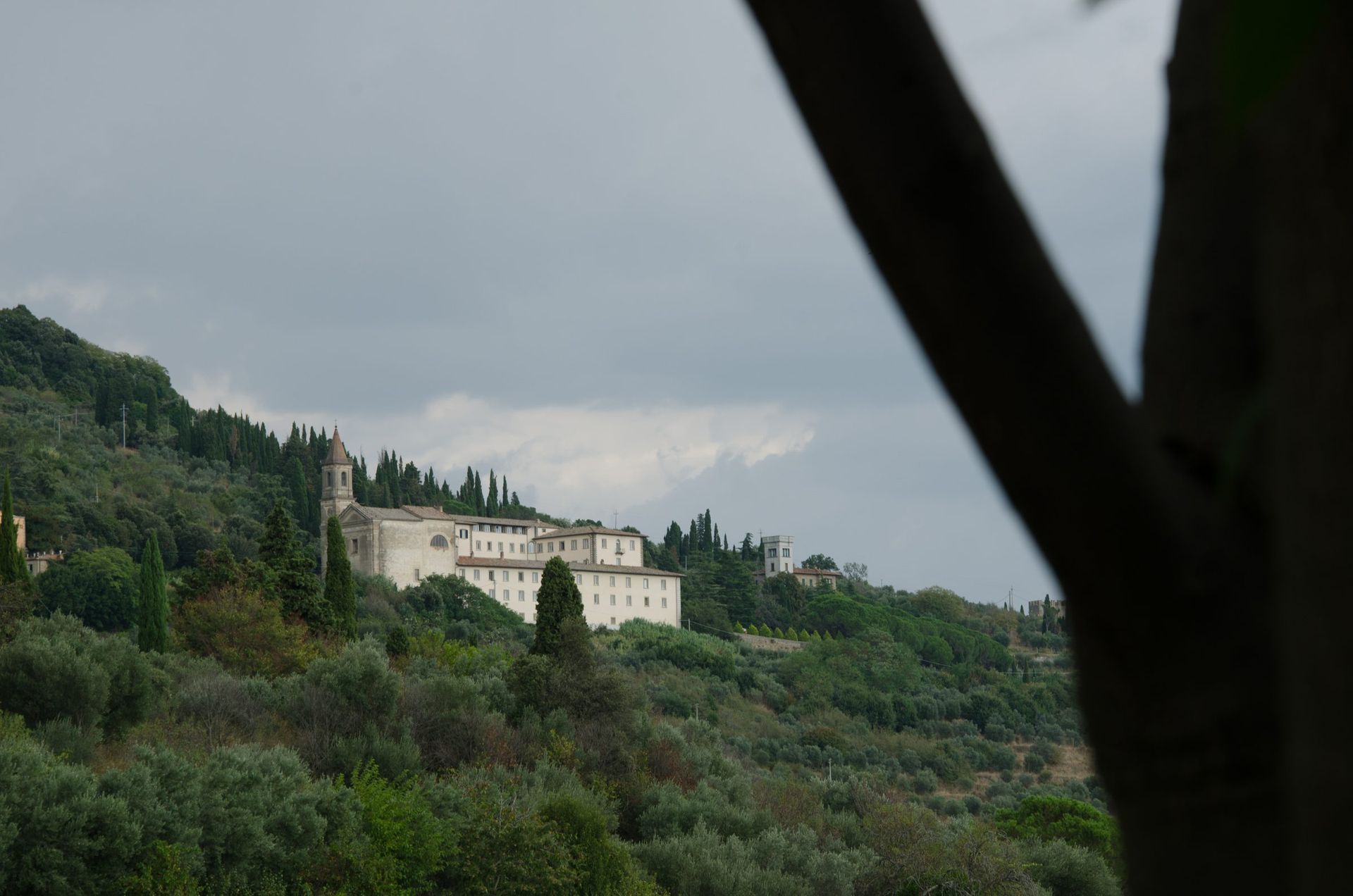 Cortona on its hillside above the Val di Chiana, seen in early light.